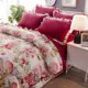 Phiên bản Hàn Quốc của bộ đồ giường flannel gồm bốn tấm Falais nhung dày đơn giản, chăn lông cừu ấm áp mùa đông
