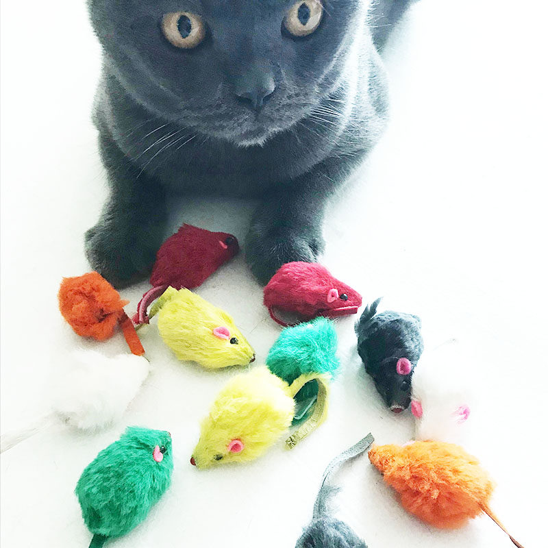 5 Pack Cat Toys Cute Little Leather Mouse with Gravel Cat Toys Funny Cat Toys