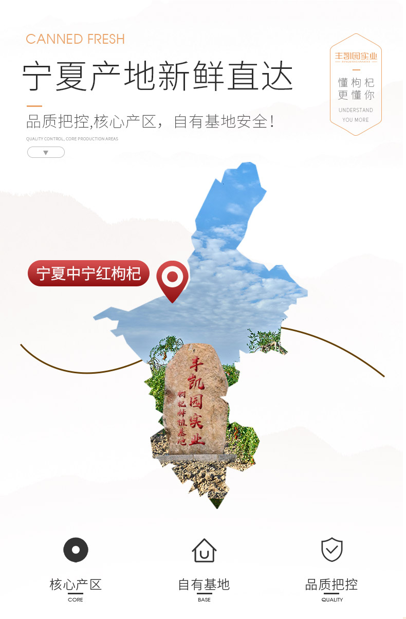 丰凯园 正宗中宁苟杞 头茬特级大果 250g*2罐 图10