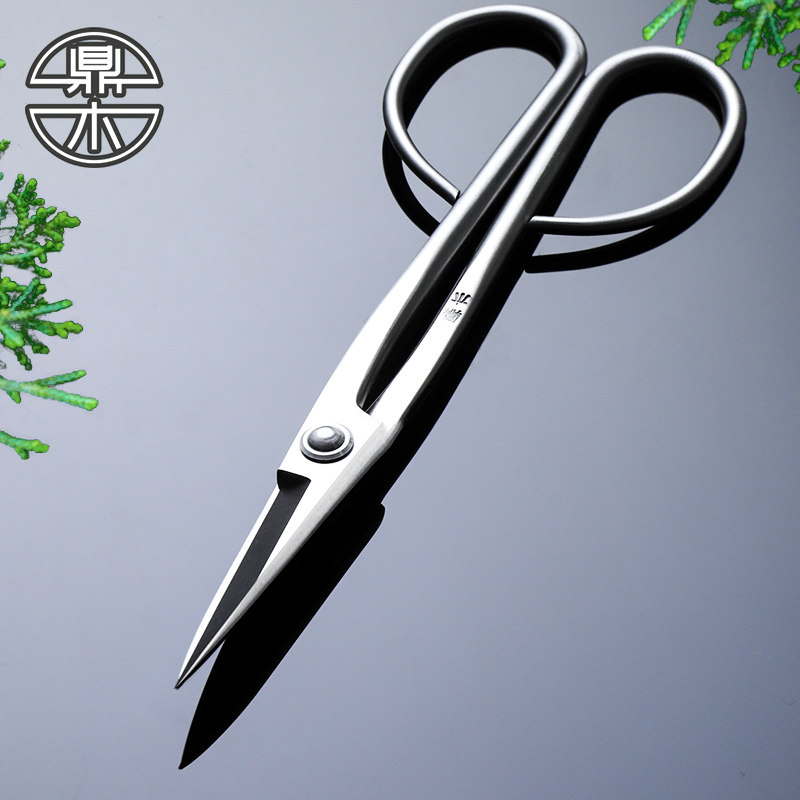 Dingwood sprout cut stainless steel pelvis trimming shape special tool for producing professional branch scissor gardening