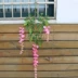 Mô phỏng Hoa Wisteria In màu Hoa đậu Trang trí đám cưới với Hydrangea Mô phỏng Sakura Chi nhánh đám cưới với Hoa Wisteria Hoa cẩm tú cầu - Hoa nhân tạo / Cây / Trái cây giả hạc hoa hồng đỏ Hoa nhân tạo / Cây / Trái cây