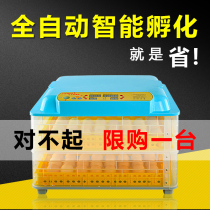 Warm Fufu Incubator Incubators Incubators Fully Automatic Mini Hatchery Hatchery Hatchery machine Home Intelligent Incubation Box