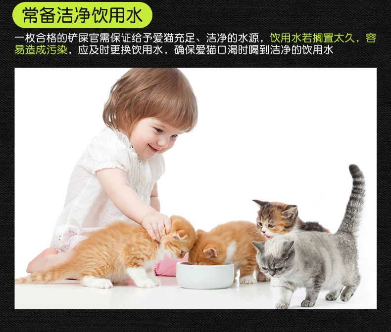 Maiton A8 Maiton Cat Food Mèo con mèo trưởng thành Mèo tổng hợp Mèo tự nhiên Thức ăn vỗ béo Anh ngắn Blue Cat Thực phẩm mèo ngắn đẹp - Cat Staples