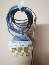 Spot Germany EGO original imported 292 degrees adjustable temperature control 55 34059 801