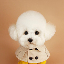 B home Teddy by bear Koji fadou British wind strap selling cute mouth towel dog collar dog windbreaker cloak