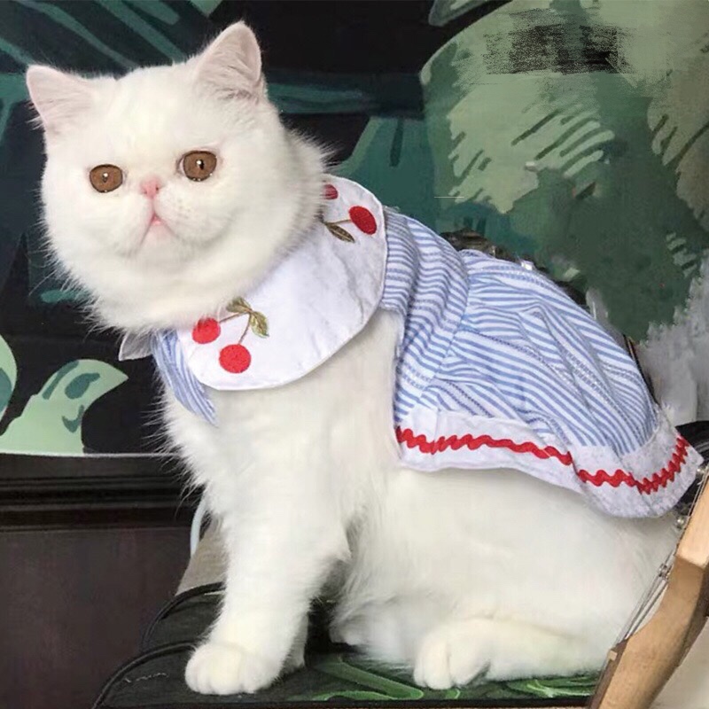 Bago bullfighting dress dog dog dress với cherry thêu váy Phiên bản Hàn Quốc của quần áo thú cưng quần áo dễ thương mùa xuân và mùa thu - Quần áo & phụ kiện thú cưng áo cho chó poodle