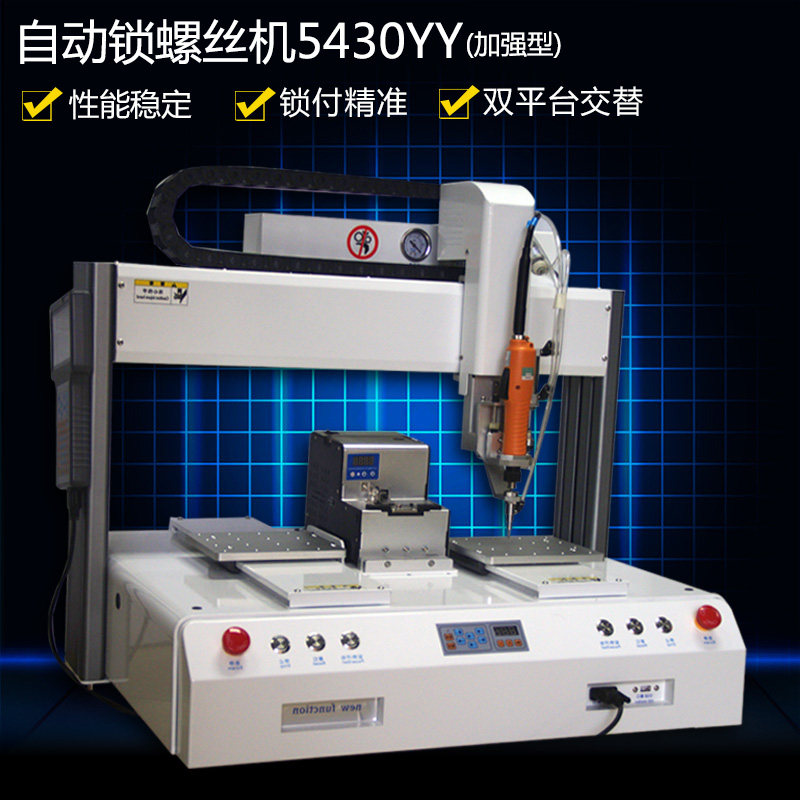 Desk - top XYZ quad axis double Y automatic lock screw machine LS - 5430YY (reinforced) can add automatic arm