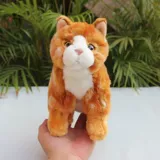 Реалистичная плюшевая милая игрушка, тряпичная кукла подходит для мужчин и женщин, котенок, кот, енот, подарок на день рождения