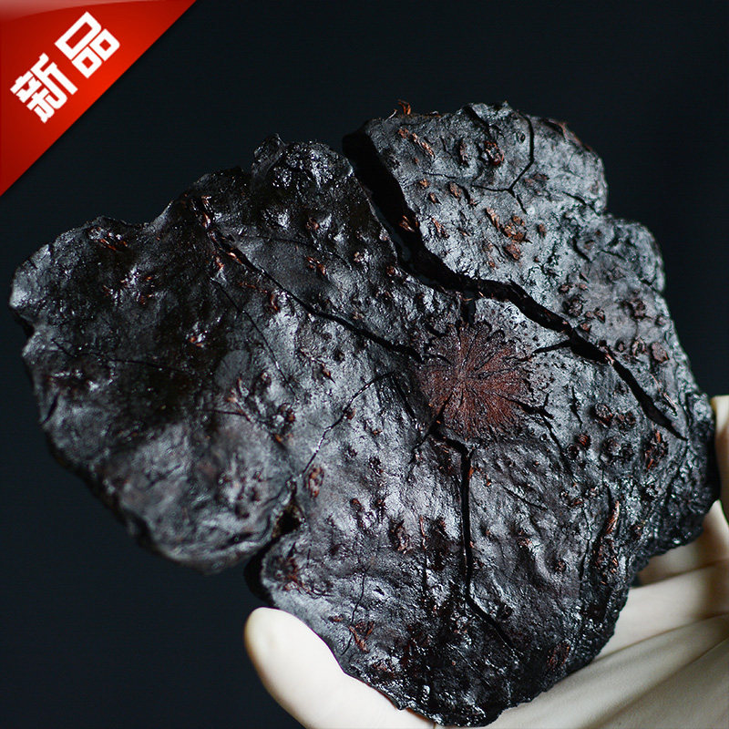 For more than 100 years, perennial wild-made fleece-flower fleece-fleece fleece-fleece fleece is suitable for sending leading elders' gifts 500 gr