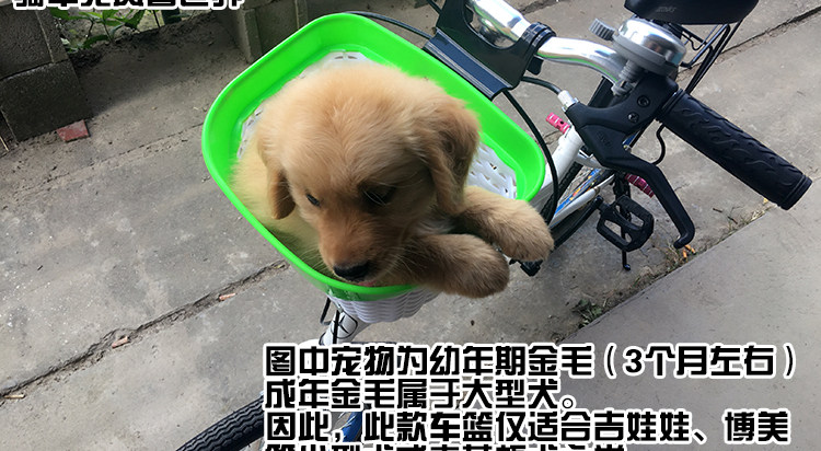 Panier pour vélo en plastique - Ref 2257509 Image 35