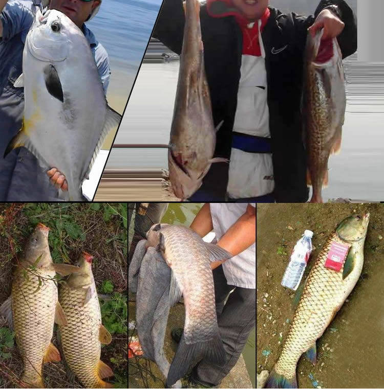 Море удочкой 光威鱼竿碳素超硬远投杆kx海竿长节锚鱼40号海钓全套套装海杆套装 GW