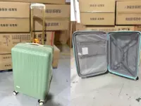 Сосна морозно-зеленая (высокое качество для ежедневных заказов внешней торговли) расширенной и высотной конструкции.