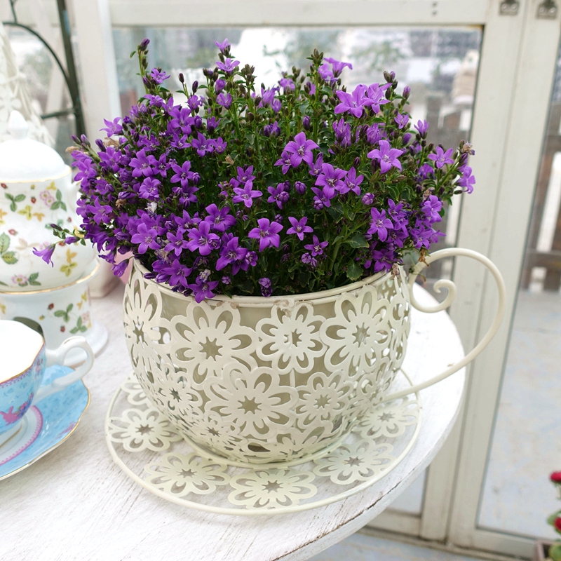 Wrought iron flower hollow teacup basin Multi-fleshy basin decorative outside basin Coffee cup shape