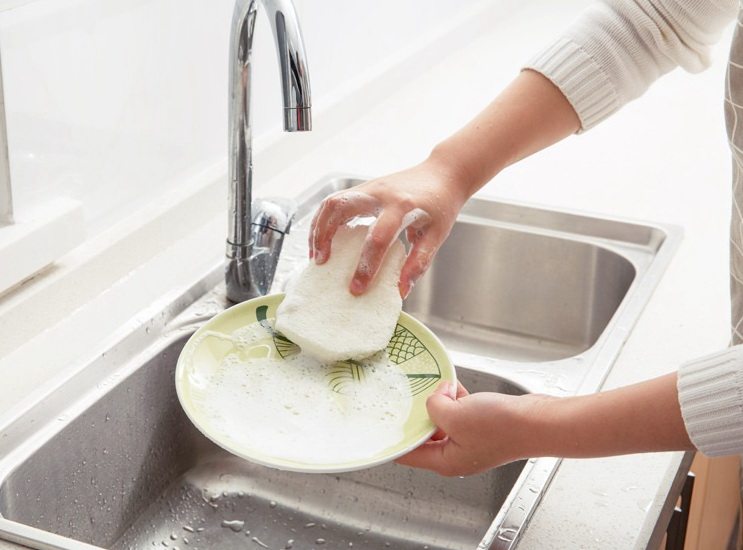 Loofah 2.jpg