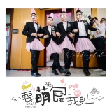 Swardlab/Pick -Up Game продает милые кролики и весь реквизит Gossis, кролики, костюмы балластной марлевой юбки