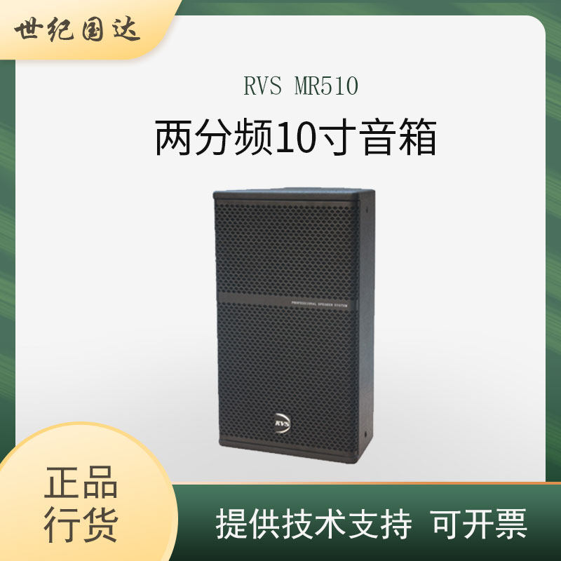 American RVS MR510 W-10 two-way 10-inch speaker Conference speaker Bar speaker RVS audio
