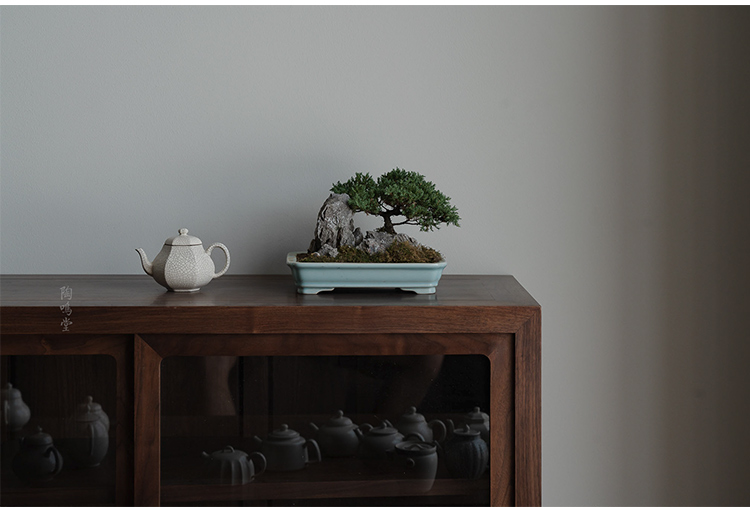 Jingdezhen ceramic teapot with plant ash glaze rushed the teapot single pot of tea, kungfu tea set start small