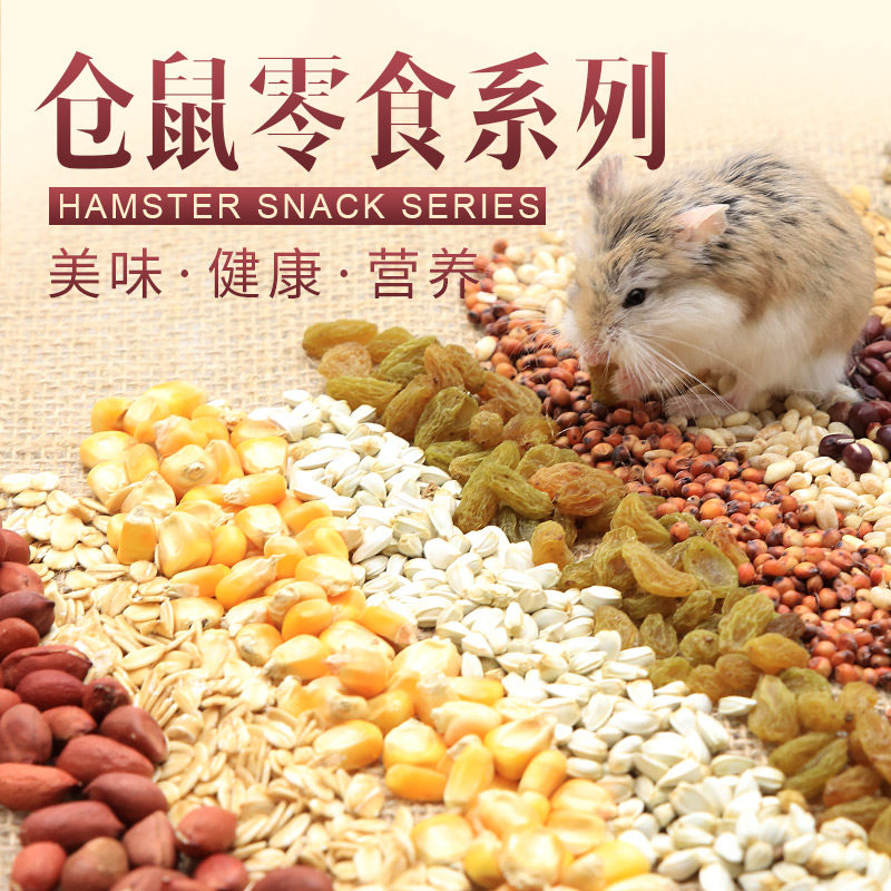 Hamster snacks, teeth grinding food, melon seeds, peanuts, corn kernels, raisins, luxury nutrition, hamster grains, feed staple food