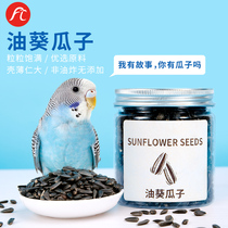 Parrot bird grain snacks Phoenix Tiger Leather Peony Bird Food Supplement Calcium bird feed without waxed oil sunflower Melon Seeds Grindra