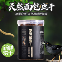 Painting Brow Birds Feed Bread Bugs Dry Wrens 8 Gothic Birds Thyme Birds Parrot Cockatoos Cockatoo Snacks