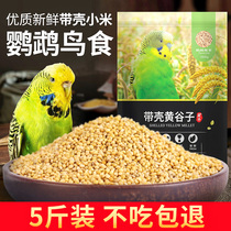 Parrot bird grain Xuanfeng bird feed egg millet peony peony eyebrow bird food new yellow millet with Shell millet 5kg