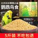 Parrot bird food Xuanfeng bird feed egg millet peony thrush bird food bird food new yellow millet with shell millet 5Jin [Jin is equal to 0.5 kg]