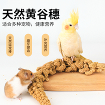 Natural Yellow Valley Ears Spike Millet Spike Millet Spike Yellow Wheat Ears Rabbit Parrot Nutrition Zero Food Hamster Grine Grindroe Food Supplies