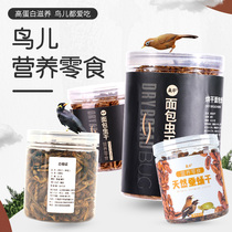  Starling bird food feed breadworm live insect dried bird snacks Special food Food Starling parrot nutritional bird food