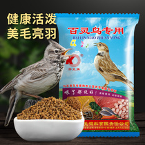 Kaiyuan Thyme Bird Food Bird Food Bird Feed Pet Bird Grain Special Ornamental Bird Grain Yellow Nestling Brow Raised Eyebrow Nourishing Calcium