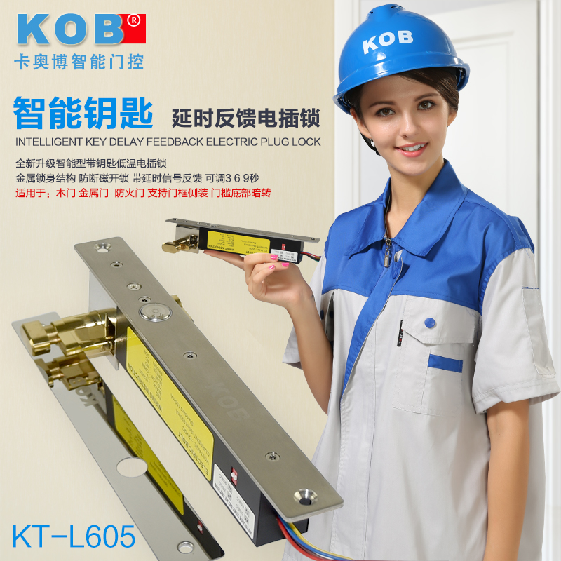 KOB brand Prison Six - core Plug Robust Narrow Panel type with key - electric interlock intelligent and robust