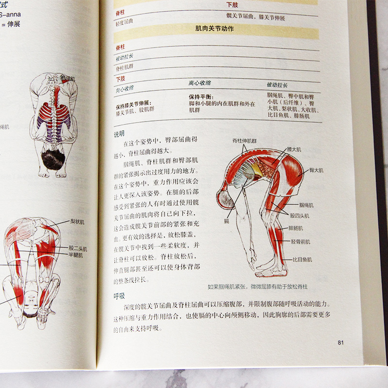 genuine yoga anatomy full color illustrated 2nd edition sports fitness yoga s elementary getting started weight loss body sculpting muscle slimming bodybuilding tutorial skills and techniques light encyclopedia yoga planing instructor teaching material zero foundation