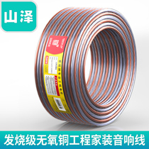 Shanze (SAMZHE) fever grade soundbox line 100 core oxygen-free copper Engineering sound line DV-1010