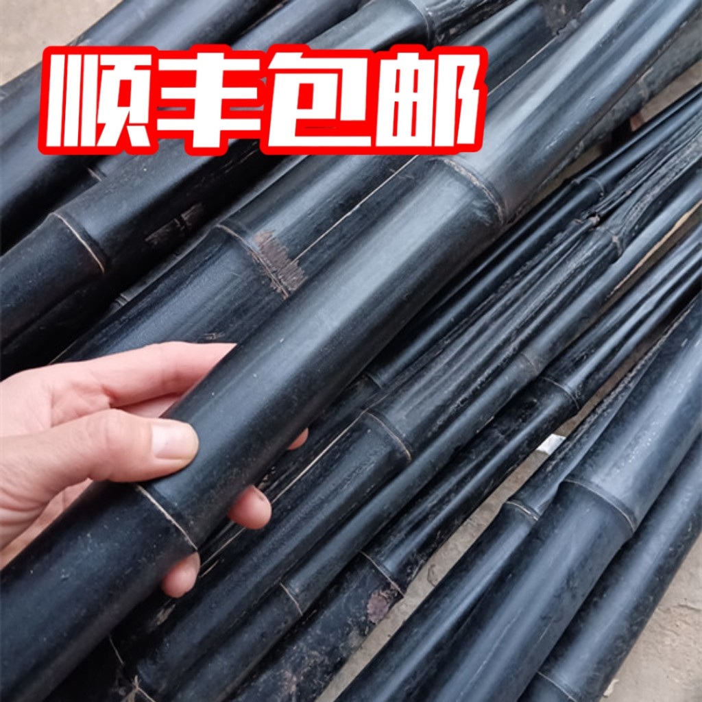 仙人杖 Immortal's Staff Latest Best Selling Praise Recommendation