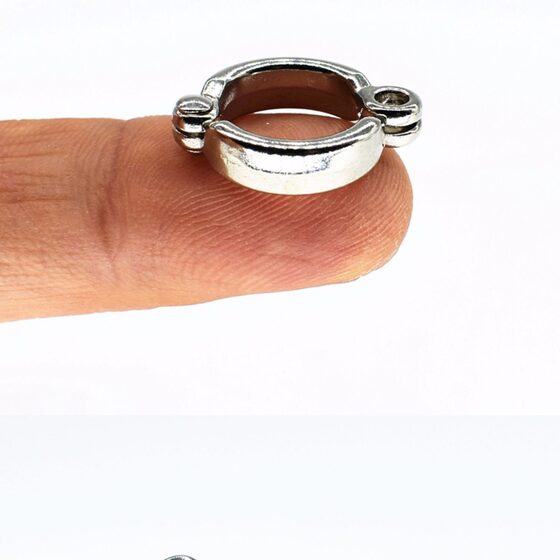 鹦鹉脚环 鸟类脚环脚配件鸟活动开口圈扣用品鸟扣 鸟脚环