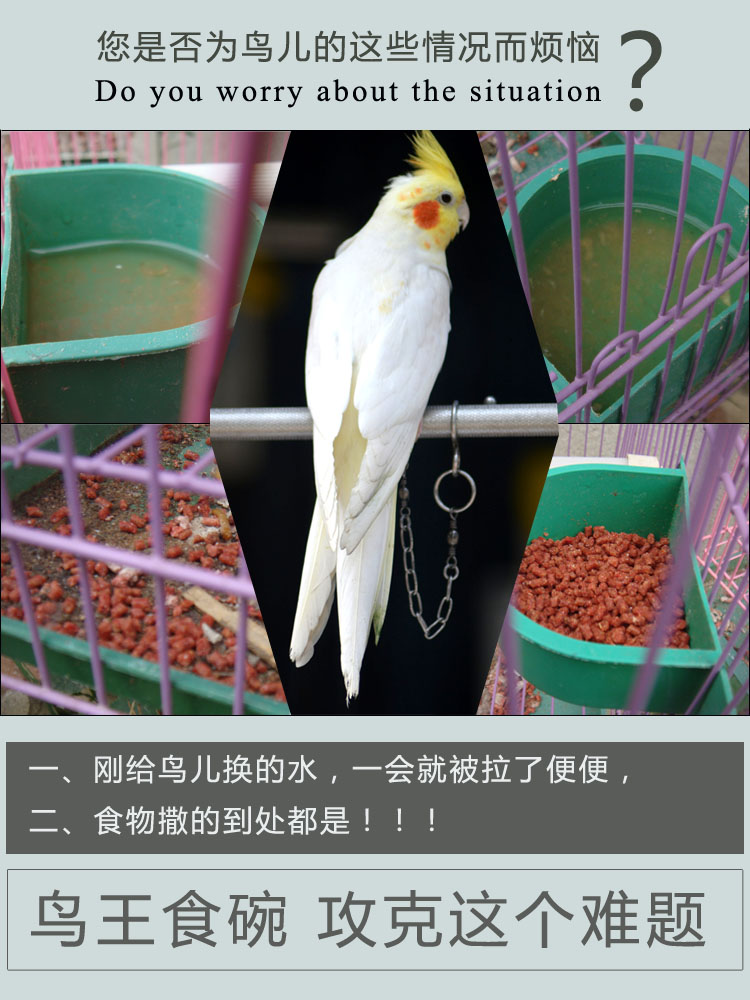 Vật tư chống rắc, tưa lưỡi, sáo đá, anh em, Bẻ, chim ngọc, hộp thức ăn, vẹt cho ăn, đài phun nước uống, chống đà điểu, thức ăn có thể - Chim & Chăm sóc chim Supplies thức ăn cho chim trĩ