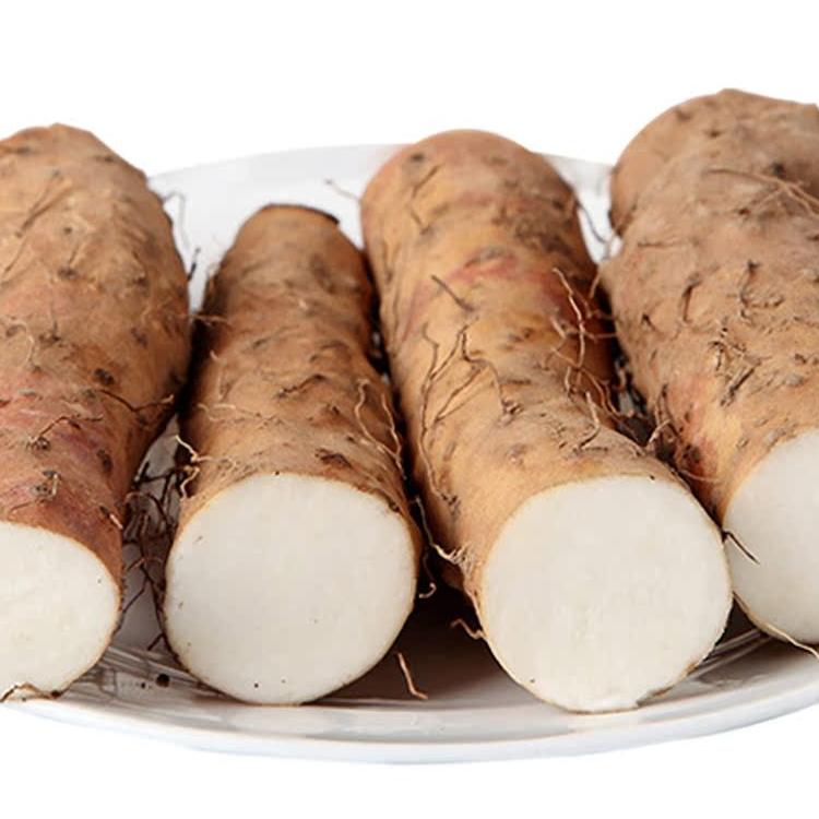 河南垆土铁棍山药：传承千年地道好食材