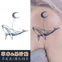 Whale moon juice tattoo stickers Herbal vegetation Waterproof long-lasting female simulation clavicle sexy