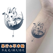 Herbal Juice Rabbit Tattoo Sticker Semi-Permanent Waterproof Female Juice Plant Cute Pattern Simulation