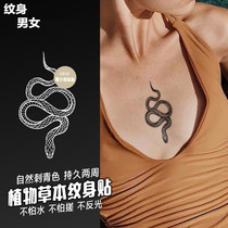 Diablo Wood Plant Juice Snake Tattoo Sticker Durable Cool Clavicle arm ins Herbal Semi-Permanent Juice Tattoo Sticker