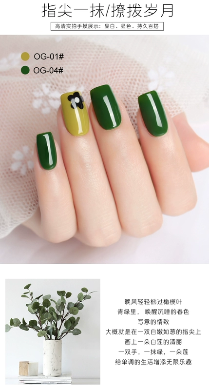 Nail New Color Olive Green Nail Ba Lan Keo Matcha Green Dark Green Light Trị liệu Kodak Keo 2020 Nail New Color Barbie Keo - Sơn móng tay / Móng tay và móng chân