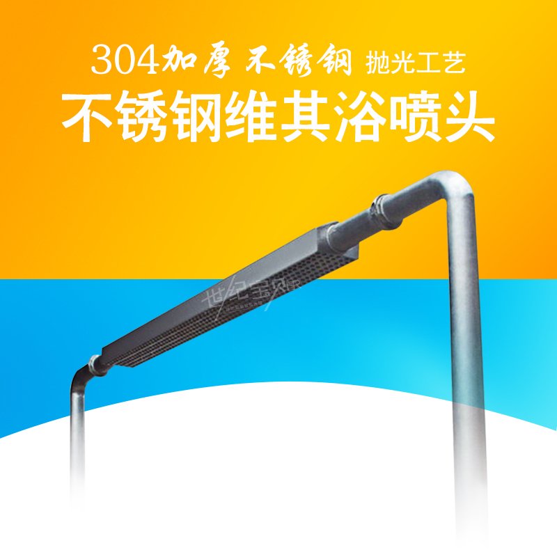 Swimming pool equipment SPA hydrotherapy massage pool 304 stainless steel ViQi bath rain bath massager shower spray plate