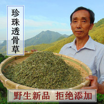 (Wild Pearl bone grass) Dabie Mountain herbal soak fresh farmhouse picking 500g new goods