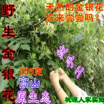 (Wild honeysuckle) selected farmers from the farm can make tea baby bath 250 grams