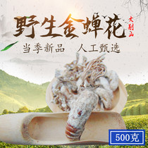 (Wild Golden Cicada flower) Golden silkworm flower dried cicada flower New 500g flower cicada flower cicada flower Cordyceps spore powder knows the flower