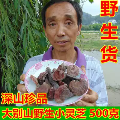 (Dabie Mountain wild Ganoderma Lucidum)Huoshan Chizhi Linzhi powder new product Non-Changbai Mountain Shennongjia Ganoderma lucidum