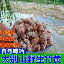 (Dabie Mountain) Wild bamboo yellow Chinese herbal medicine light bamboo flower bitter bamboo flower bamboo cocoon bamboo ginseng 500g