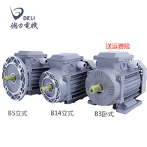 GS YS MS5012 5022 5612 5622 6312 6322 6332 7112 7122 deli motor