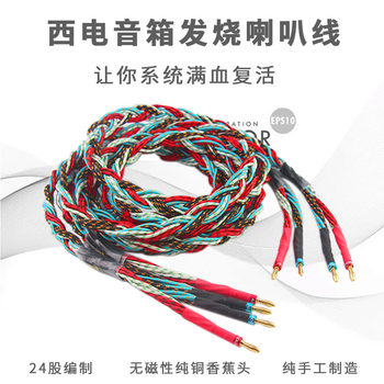 Super High-Quality American Western Electric Imported Speaker Cable, 24-Strand Audiophile Speaker Cable, Pure Copper Audio Cable, Surround Connection Cable