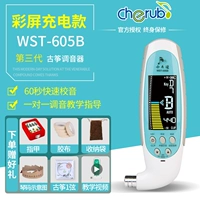 WST -605B Зарядка/Подарок подарок