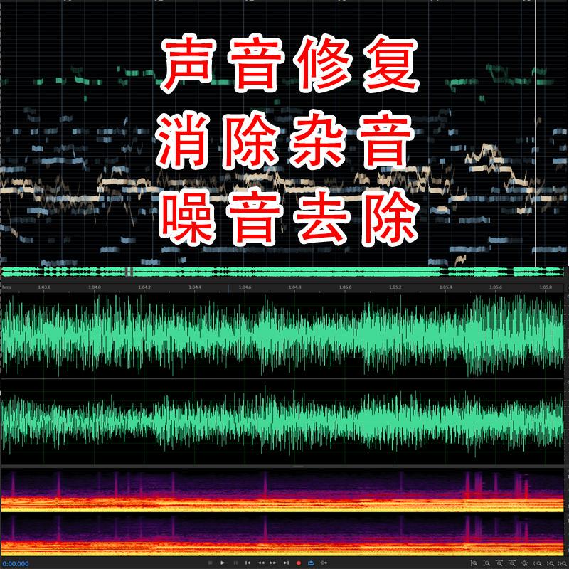 Recorder Video Recording, Human Voice Extraction, Monitoring Video and Audio, Noise Reduction, Recording, Noise Cancellation, Sound Extraction, Restoration, Amplification
